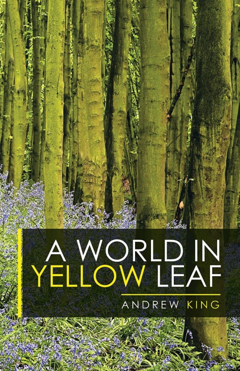 Cover image for book A World in Yellow Leaf