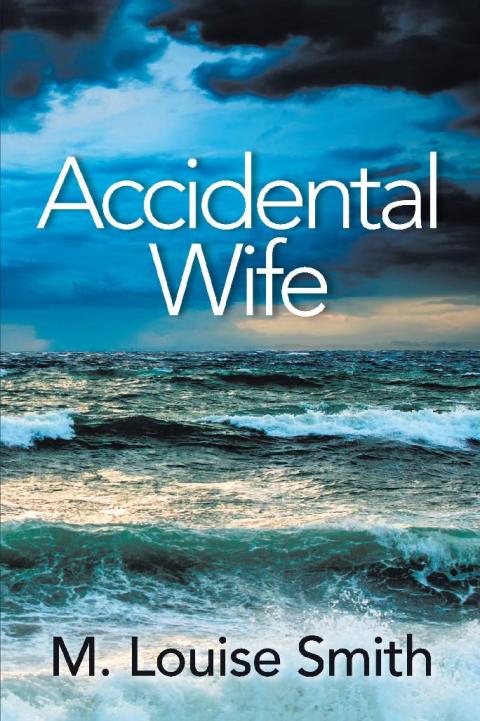 Cover image for book Accidental Wife