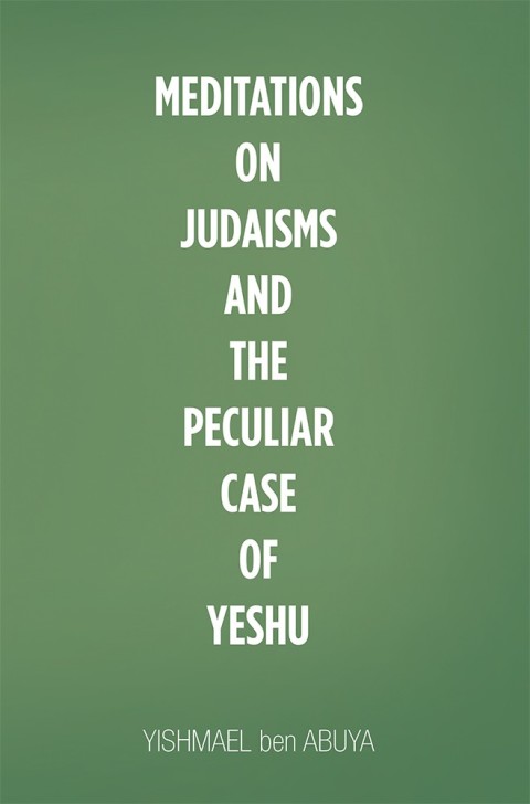 Cover image for book Meditations on Judaisms and the Peculiar Case of Yeshu