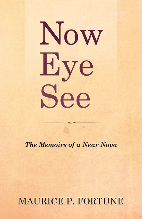Cover image for book Now Eye See