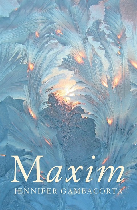Cover image for book Maxim