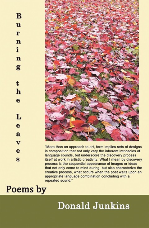 Cover image for book Burning the Leaves