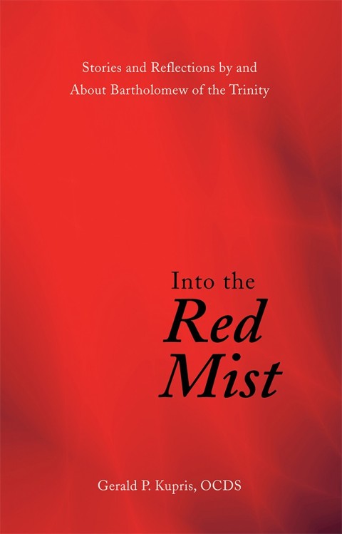 Cover image for book Into the Red Mist
