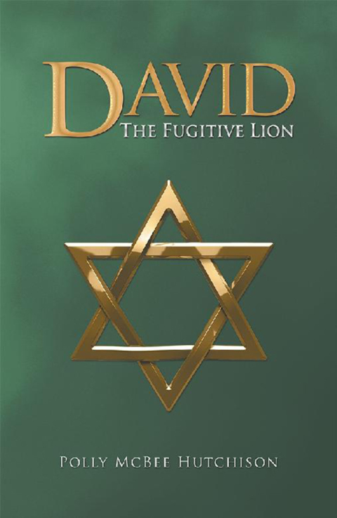 Cover image for book David