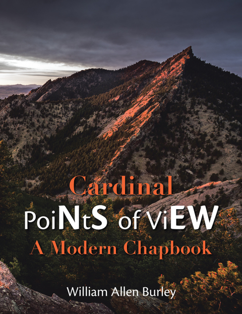 Cover image for book Cardinal Points of View