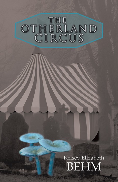 Cover image for book The Otherland Circus