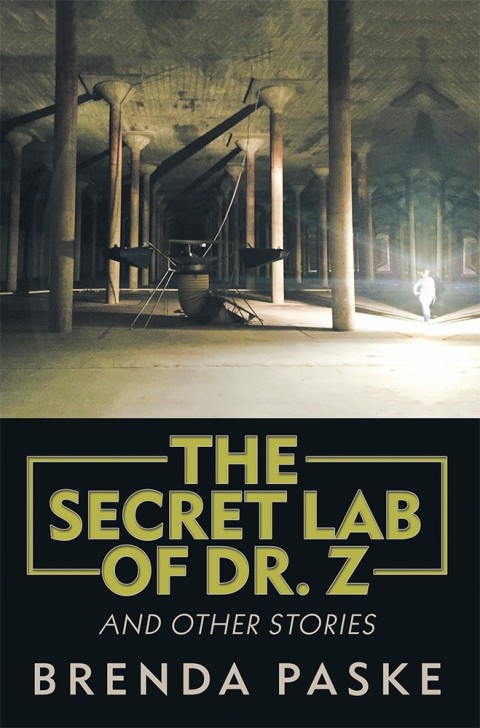 Cover image for book The Secret Lab of Dr. Z
