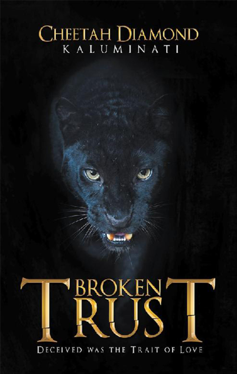 Cover image for book Broken Trust