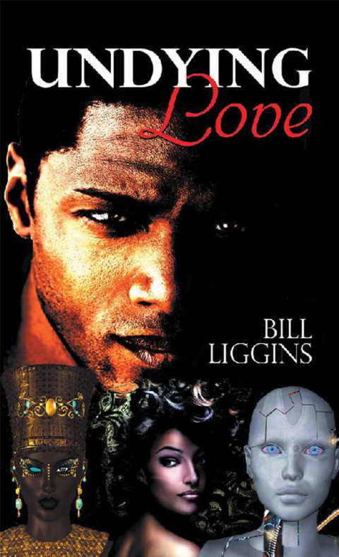 Cover image for book Undying Love