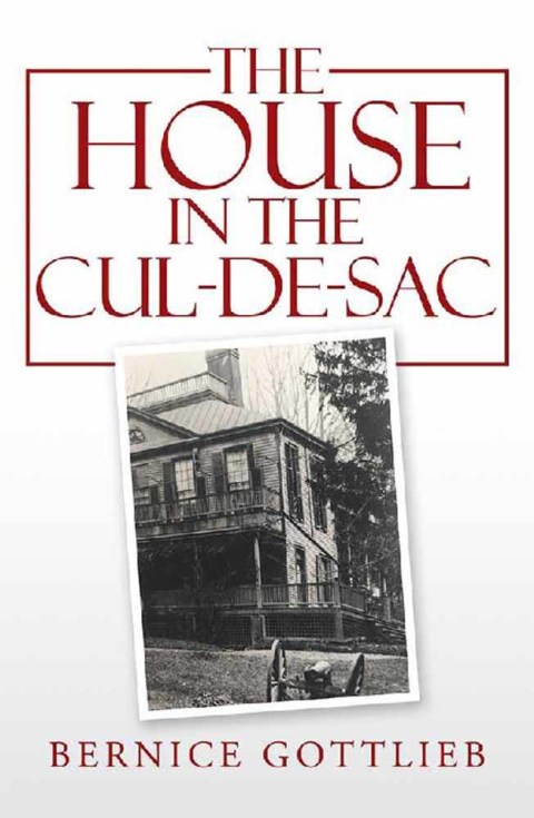Cover image for book The House in the Cul-De-Sac