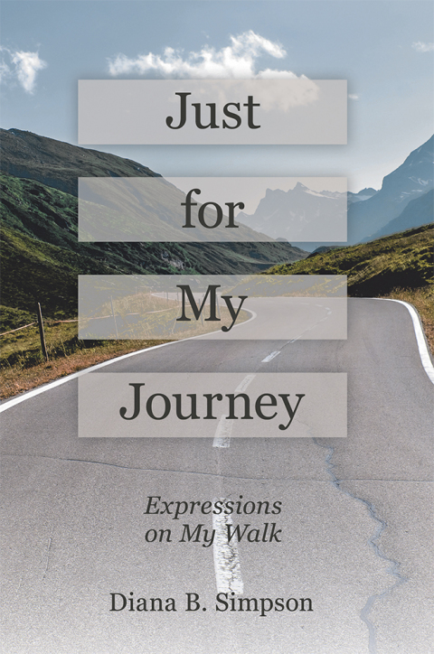 Cover image for book Just for My Journey