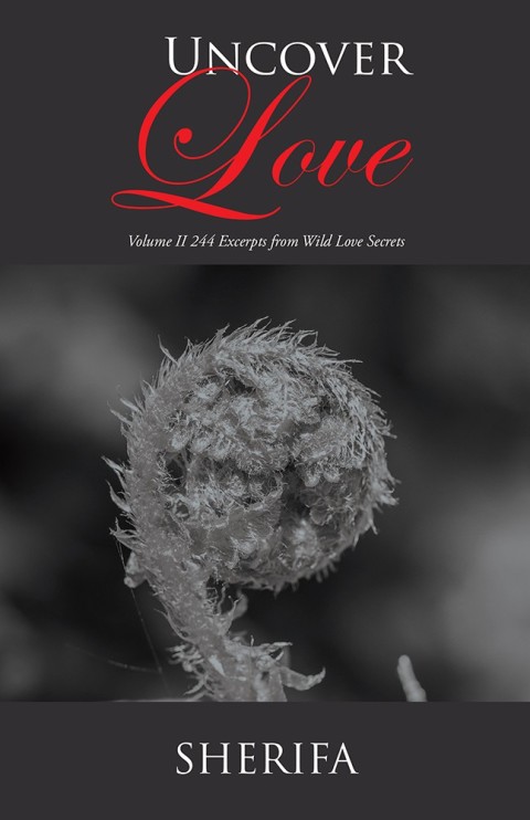 Cover image for book Uncover Love