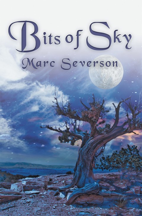 Cover image for book Bits of Sky