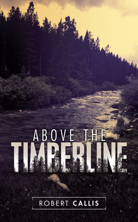 Cover image for book Above the Timberline