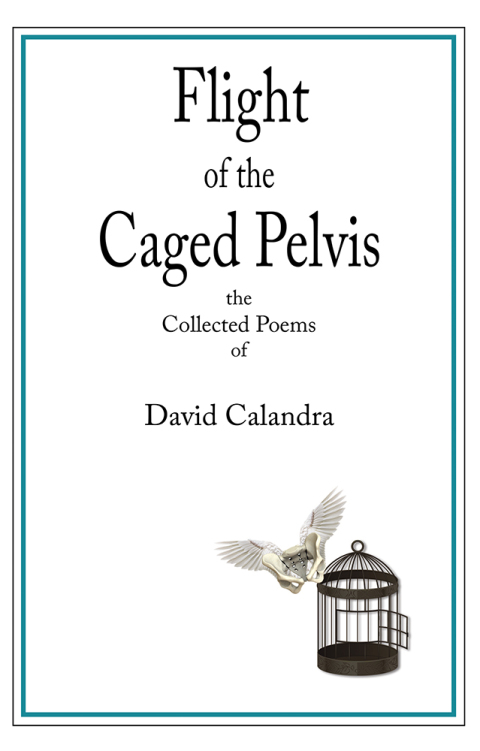 Cover image for book Flight of the Caged Pelvis