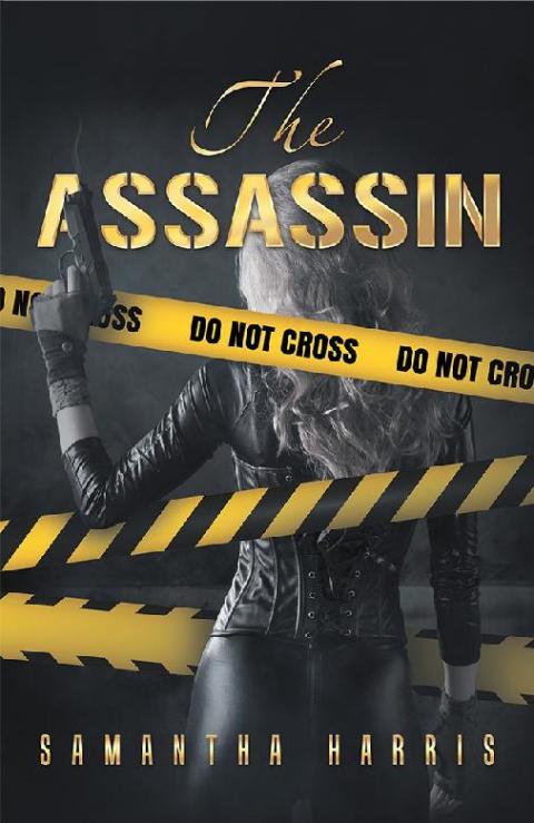 Cover image for book The Assassin