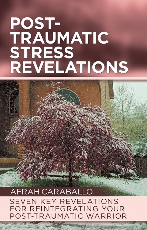 Cover image for book Post-Traumatic Stress Revelations