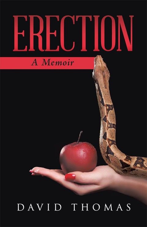Cover image for book Erection