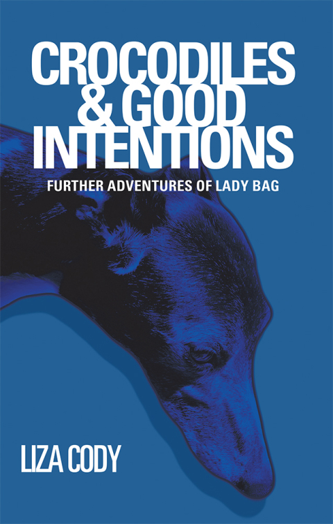 Cover image for book Crocodiles & Good Intentions