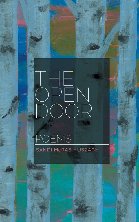 Cover image for book The Open Door