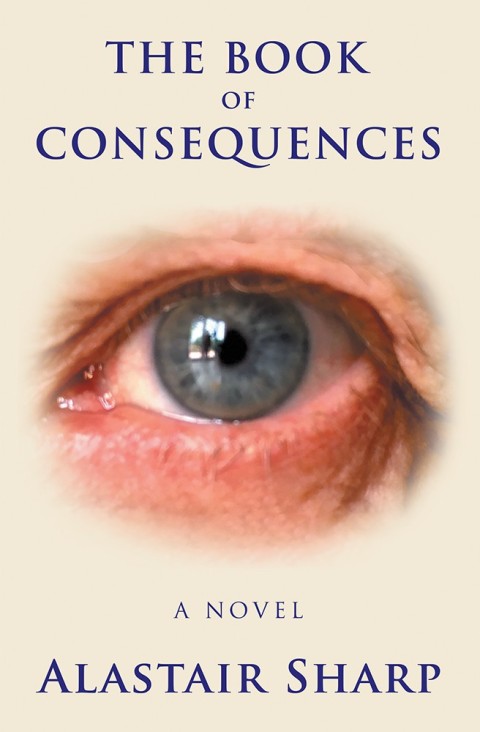 Cover image for book The Book of Consequences