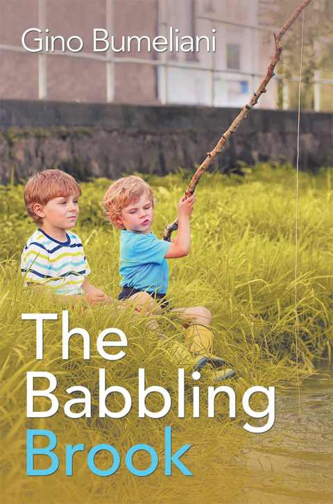 Cover image for book The Babbling Brook