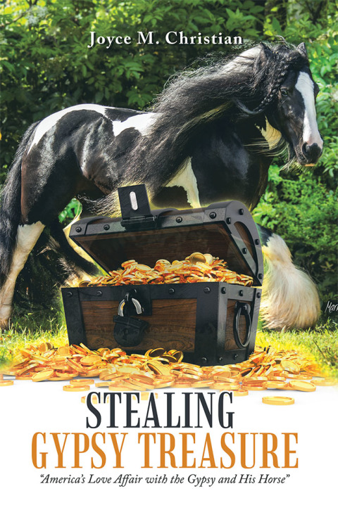 Cover image for book Stealing Gypsy Treasure