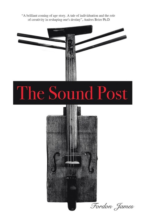 Cover image for book The Sound Post