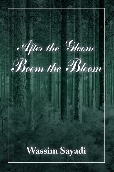 Cover image for book After the Gloom Boom the Bloom