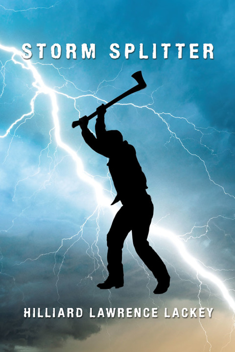 Cover image for book Storm Splitter