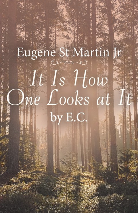 Cover image for book It Is How One Looks at It by E. C.