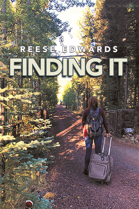 Cover image for book Finding It