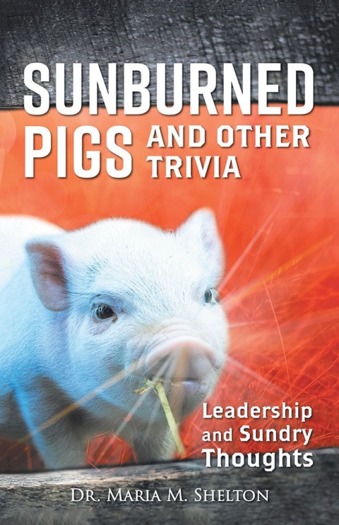 Cover image for book Sunburned Pigs and Other Trivia