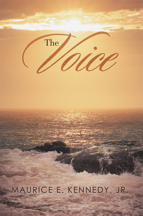 Cover image for book The Voice