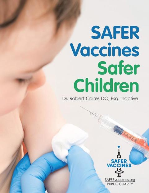 Cover image for book Safer Vaccines, Safer Children