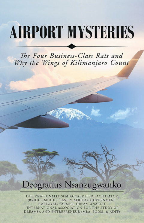 Cover image for book Airport Mysteries