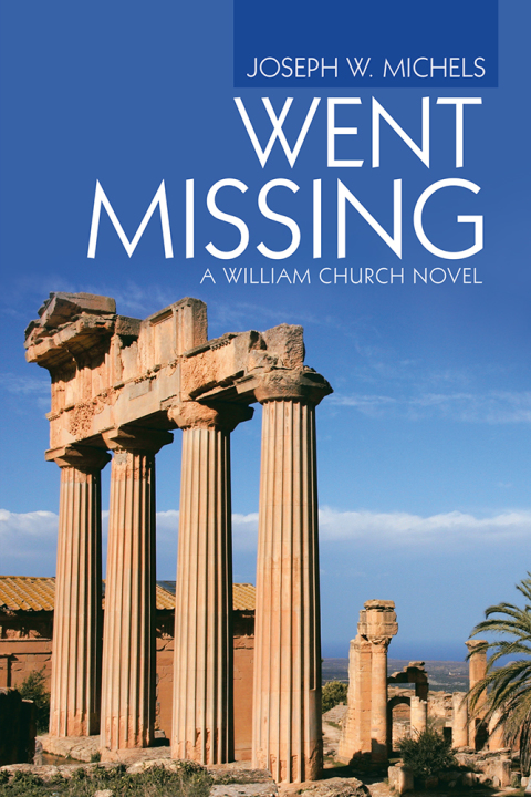 Cover image for book Went Missing