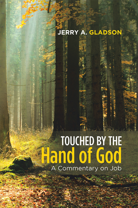 Cover image for book Touched by the Hand of God
