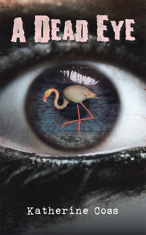 Cover image for book A Dead Eye