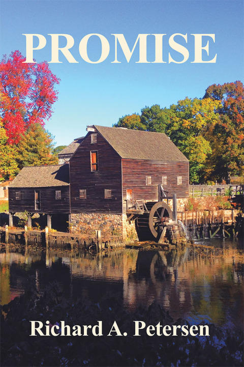 Cover image for book Promise