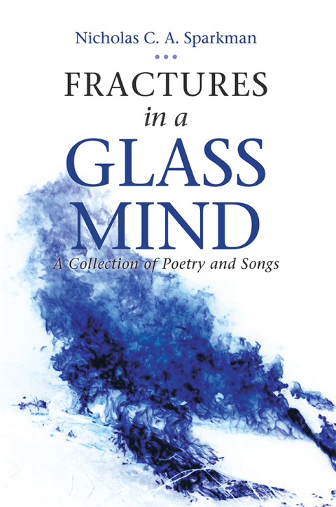 Cover image for book Fractures in a Glass Mind