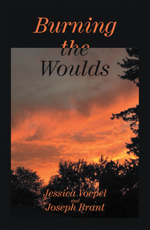 Cover image for book Burning the Woulds