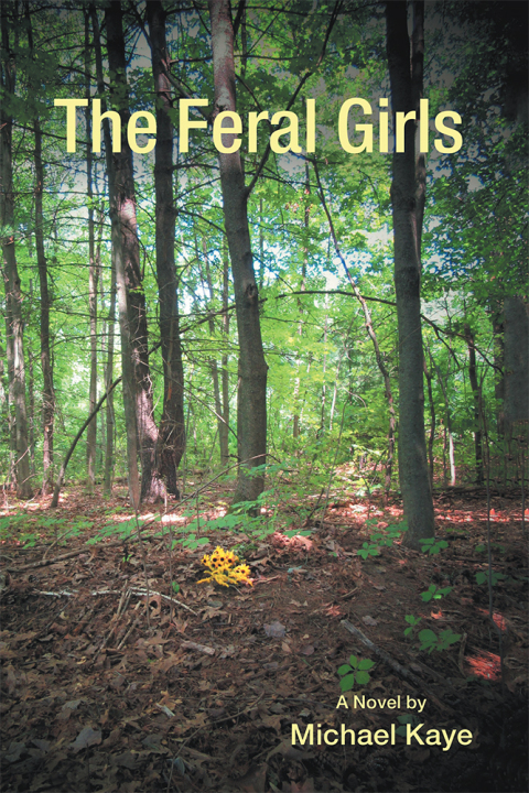 Cover image for book The Feral Girls
