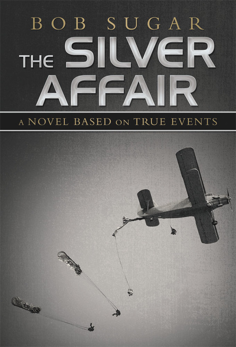 Cover image for book The Silver Affair