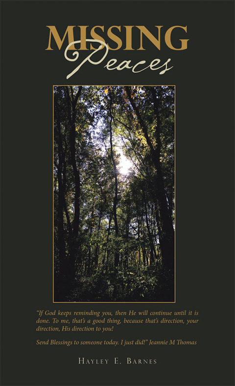 Cover image for book Missing Peaces