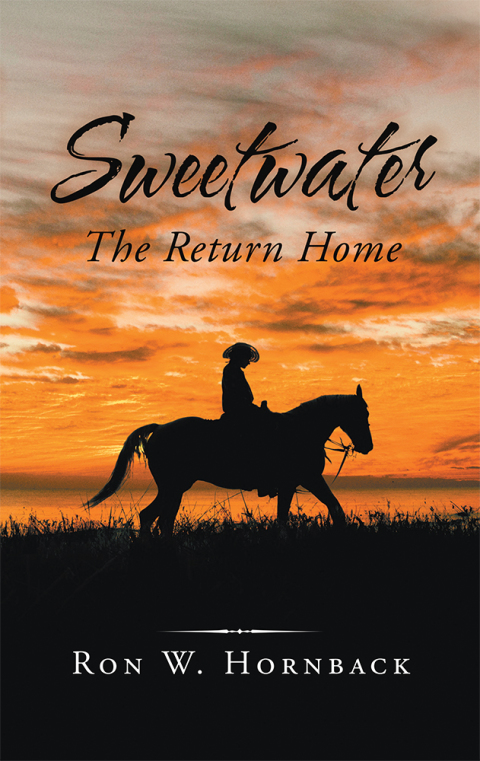 Cover image for book Sweetwater