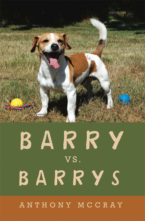 Cover image for book Barry Vs. Barrys