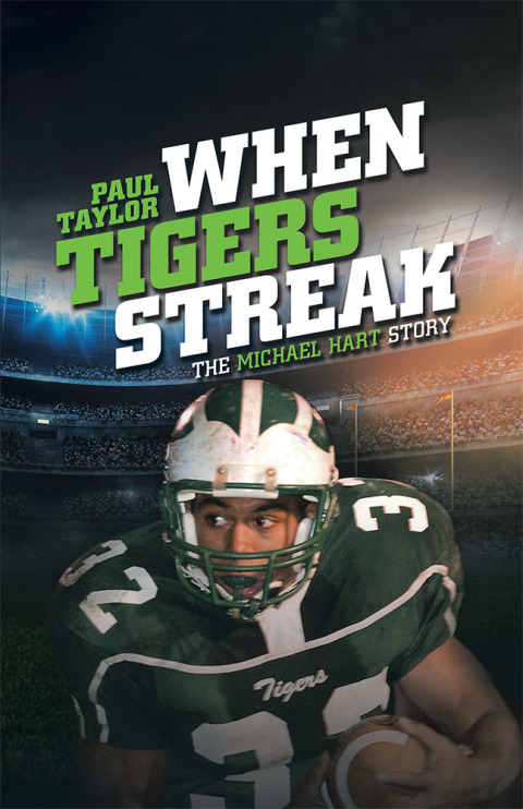 Cover image for book When Tigers Streak