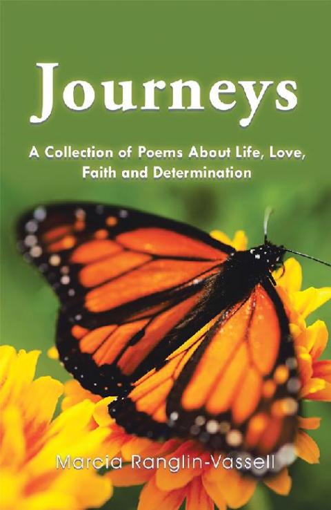 Cover image for book Journeys