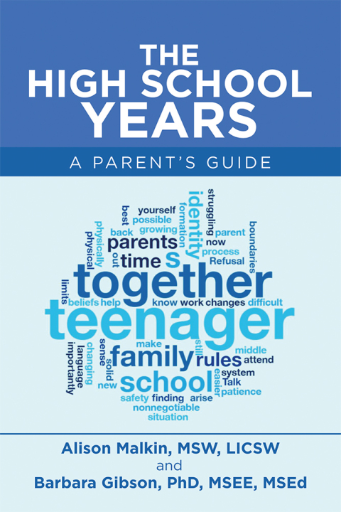 Cover image for book The High School Years
